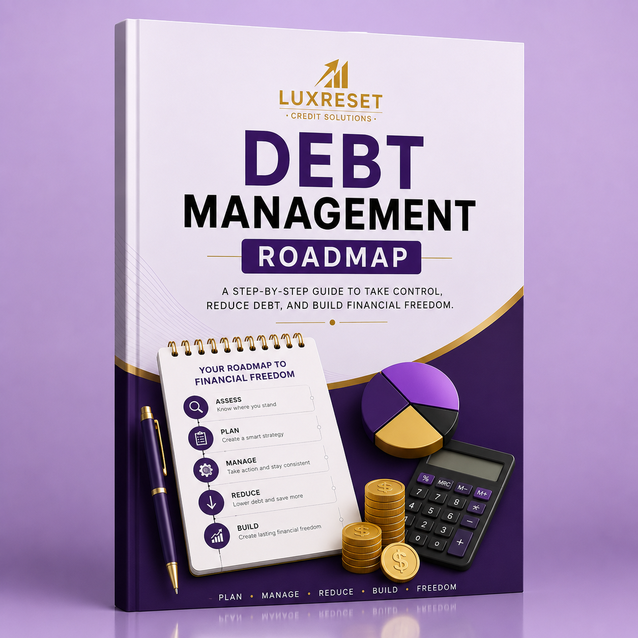 Debt Management Roadmap